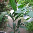 백번농장 이미지