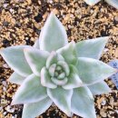 수담농장 이미지