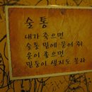 주태백 Daum카페