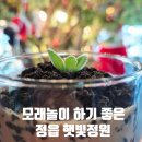 햇빛 | 정읍 키즈카페 블록놀이 모래놀이 하기 좋은 햇빛정원 내돈내산 솔직후기