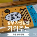 천하태권도스쿨 | 머니&#34; 김성효샘 &lt;초등공부 독서로 시작해 글쓰기로 끝내라&gt; 책 + &lt;초등알짜공책&gt; 한달 사용 아이후기