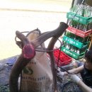 소보농장 이미지