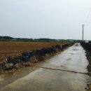 신도1리 경로당 이미지