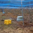 소산농장 이미지