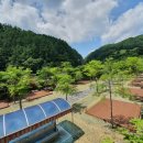 좌구산캠핑장 이미지