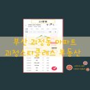 괴정 스타클래스 | 부산 사하구 괴정동 괴정 스타클래스 임장 후기까지
