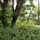 남천병원 이미지