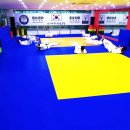 용인대 일산유도 체육관 이미지