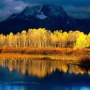 오리궁전 이미지