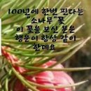 바른정비 이미지