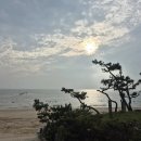 대천펜션 해와달 개별바베큐 독채Ⅱ | [보령]대천해수욕장 근처 해와달 개별바베큐 독채 펜션