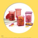 타파웨어(베스트) 이미지