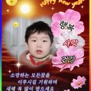 설하 Daum카페
