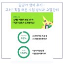 피티(PT) Make me 91 | 밀당PT 영어 후기 | 고1이 직접 해본 수업 방식과 오답관리
