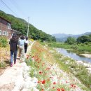 동상면민운동장 이미지