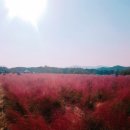 나리미용실 - 거창군 | 나리미용실