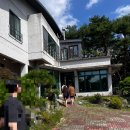 사계절 푸른솔 태권도장 | 춘천 카페 금베이숲｜내돈내산 숲속의 비밀 정원, 애견동반 가능한 춘천 감성 카페 추천 후기