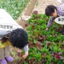 헌열농장 티스토리