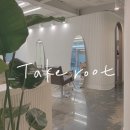 테이크 루트(Take root) 네이버블로그