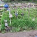 여수농장 이미지