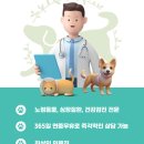 콩닥 동물병원 이미지