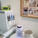 랙돌카페냐옹 이미지