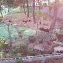 범수네농장 이미지