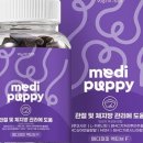 퍼피루미 이미지