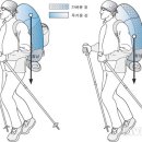 (등산 장비 사용)배낭을 잘 꾸리는 법은? 이미지