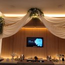 (주)펫노블레스 이미지