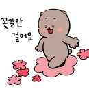 더조은피부샵