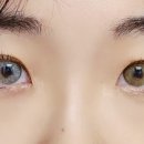 테이스티렌즈