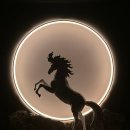 불로동 시경계 조형 | 경주 플래시백 계림 할인 가격 주차 기간 관람시간 후기