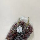 현미프로헤어 | 점심에 먹었던 영양제들과 여름 식단 기록