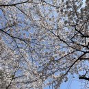 용화사광장밑 공영주차장 이미지