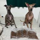 바나나소프트 | 기호성 미쳤다! 강아지사료 [무마진 소프트사료 소고기&amp;황태] 후기