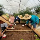 튜울립지역아동센터 이미지