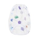 시원애견 이미지