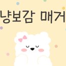 세탁보감 이미지