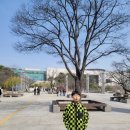 청우약품 | 텐텐맛 멀티비타민 이마트 트레이더스에서 만나요!