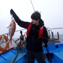 재효 카카오 검색결과