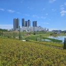 함박산중앙공원 주변 이미지