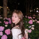 차시천하 且试天下