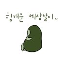 배떡조례 이미지
