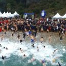 씽씽송송 이미지