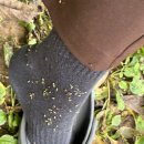 도깨비풀 | 몸을 사리지 않는 열정! 시그널스튜디오 광주이천점 야외 촬영 후기!