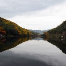 프로모터스 이미지