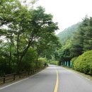 느티나무길>금강공원길 이미지