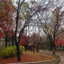 거리공원 이미지