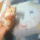 케이엠엘리보석십자수 - 사하구 낙동대로 366 | [케이엠엘리] 보석십자수 주문제작 도안 구매 후기